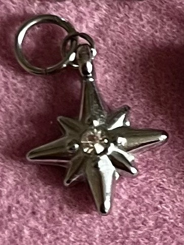 Bedel Klein Zilverkleurig