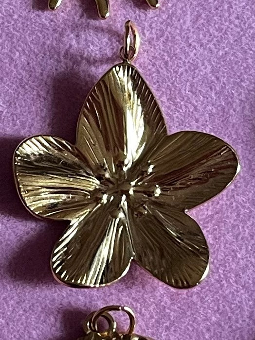 Bedel Groot Goudkleurig