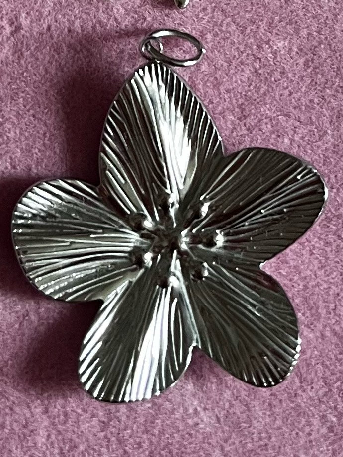 Bedel Groot Zilverkleurig